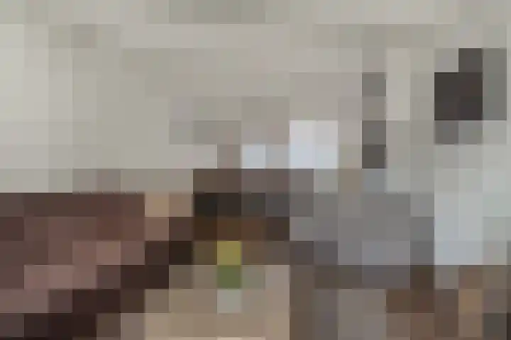 De Drecht 7 Ammerzoden thumbnail 10