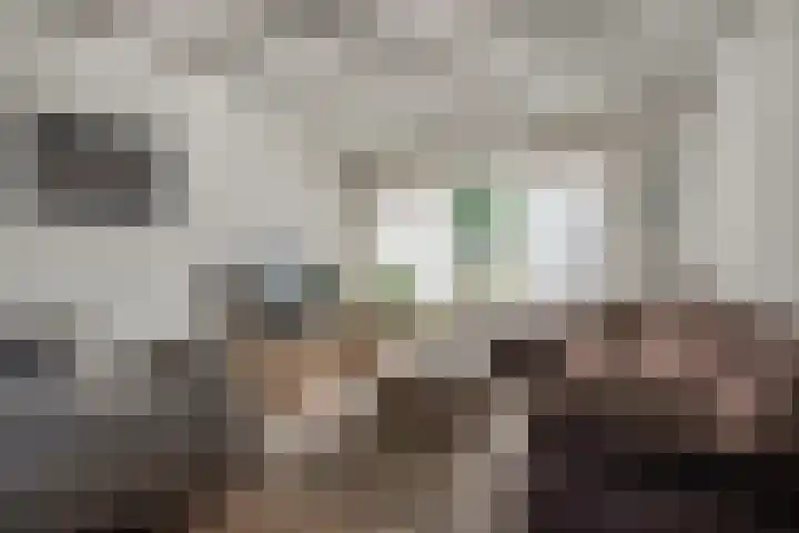 De Drecht 7 Ammerzoden thumbnail 11