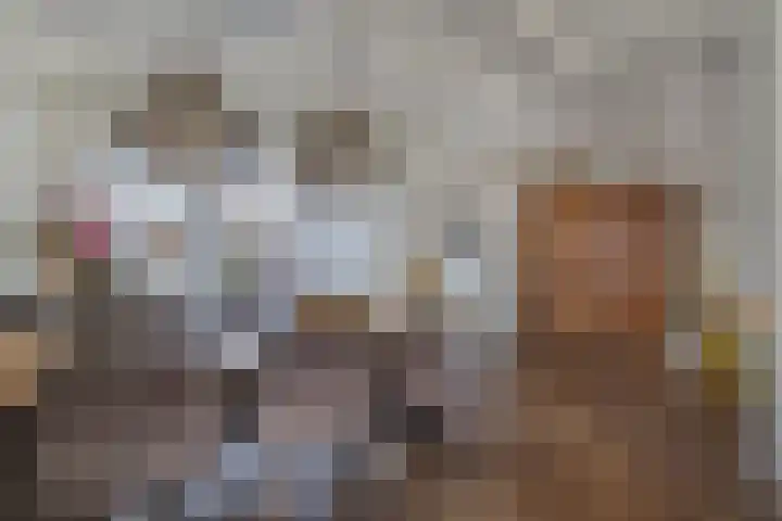 De Drecht 7 Ammerzoden thumbnail 13
