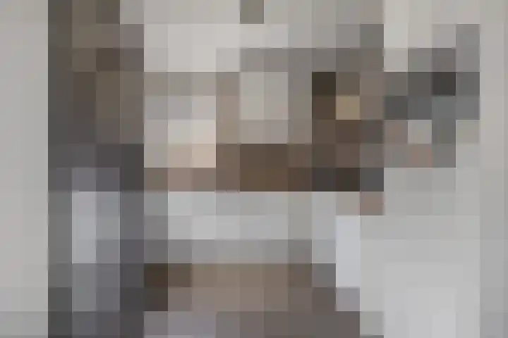 De Drecht 7 Ammerzoden thumbnail 15