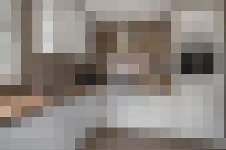 De Drecht 7 Ammerzoden thumbnail 16