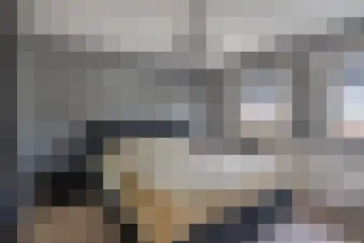 De Drecht 7 Ammerzoden thumbnail 19