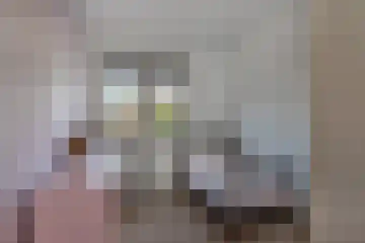 De Drecht 7 Ammerzoden thumbnail 20