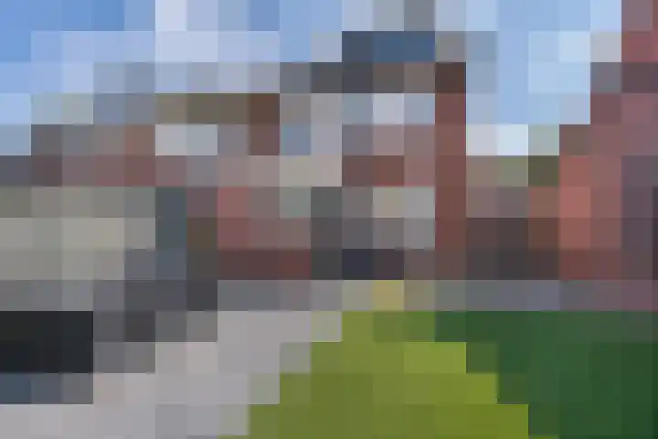 De Drecht 7 Ammerzoden thumbnail 25