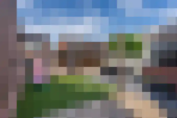 De Drecht 7 Ammerzoden thumbnail 26