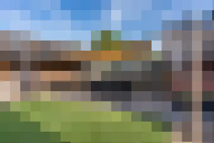 De Drecht 7 Ammerzoden thumbnail 27