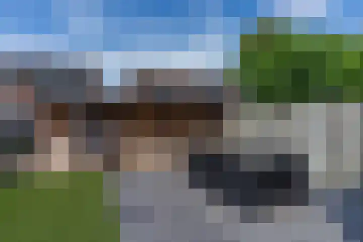 De Drecht 7 Ammerzoden thumbnail 28
