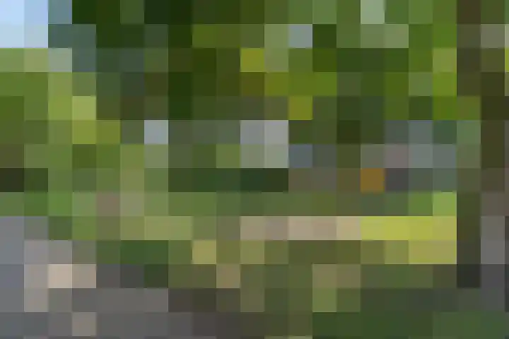 De Drecht 7 Ammerzoden thumbnail 30