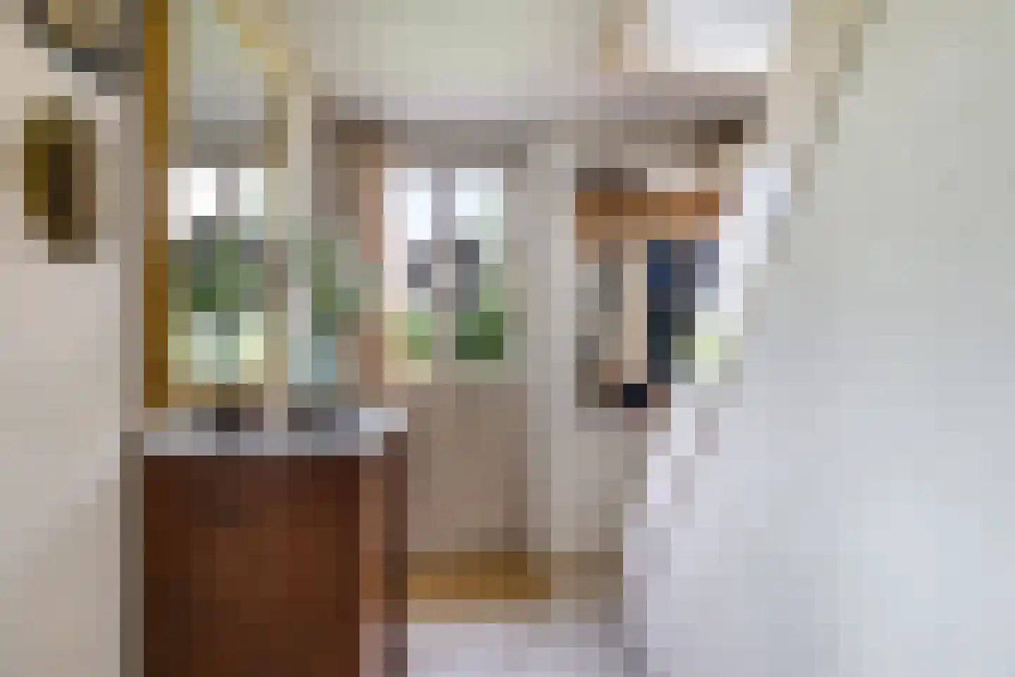 De Dreef 12 Dodewaard thumbnail 12