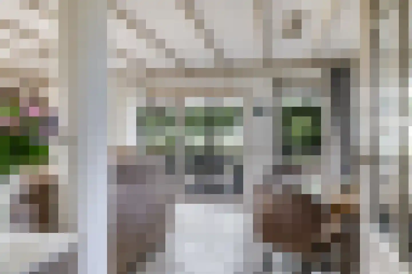 De Dreef 12 Dodewaard thumbnail 13
