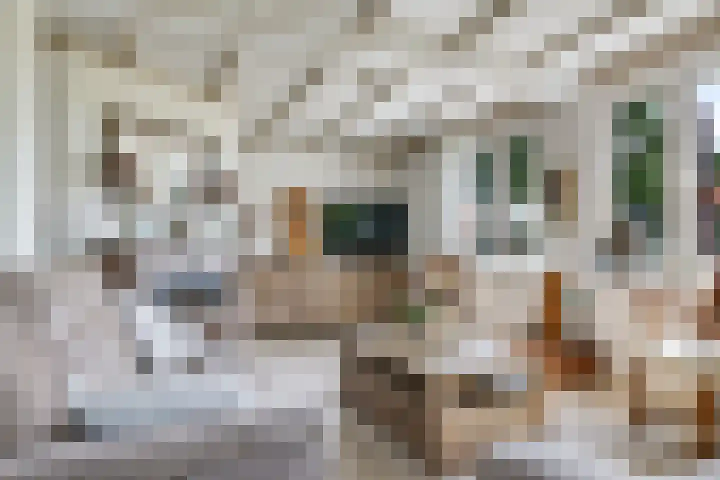 De Dreef 12 Dodewaard thumbnail 14