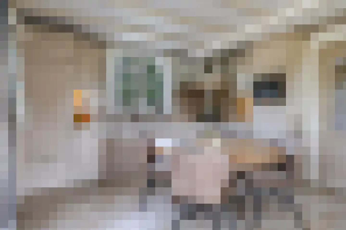 De Dreef 12 Dodewaard thumbnail 16