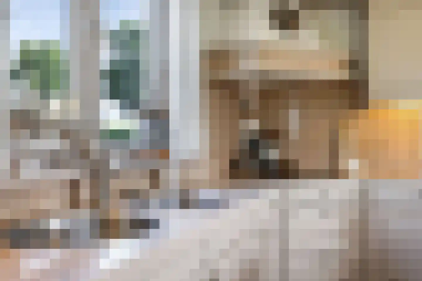 De Dreef 12 Dodewaard thumbnail 17
