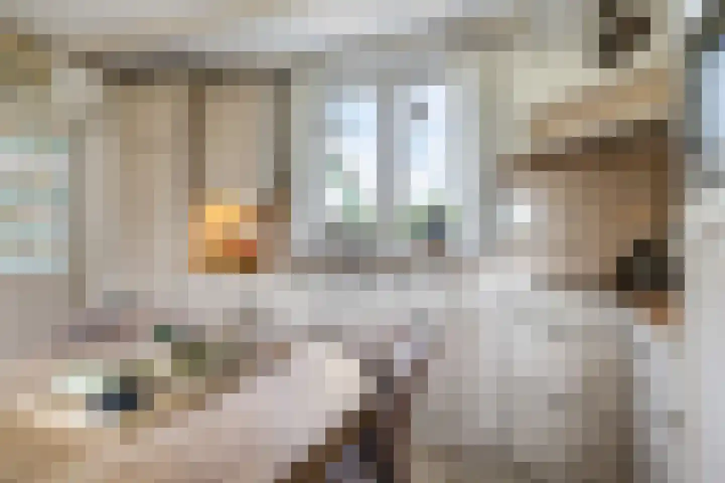De Dreef 12 Dodewaard thumbnail 18