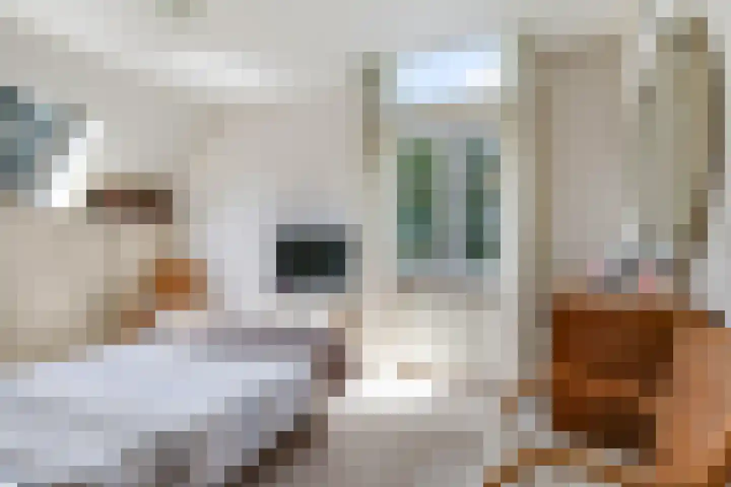 De Dreef 12 Dodewaard thumbnail 25
