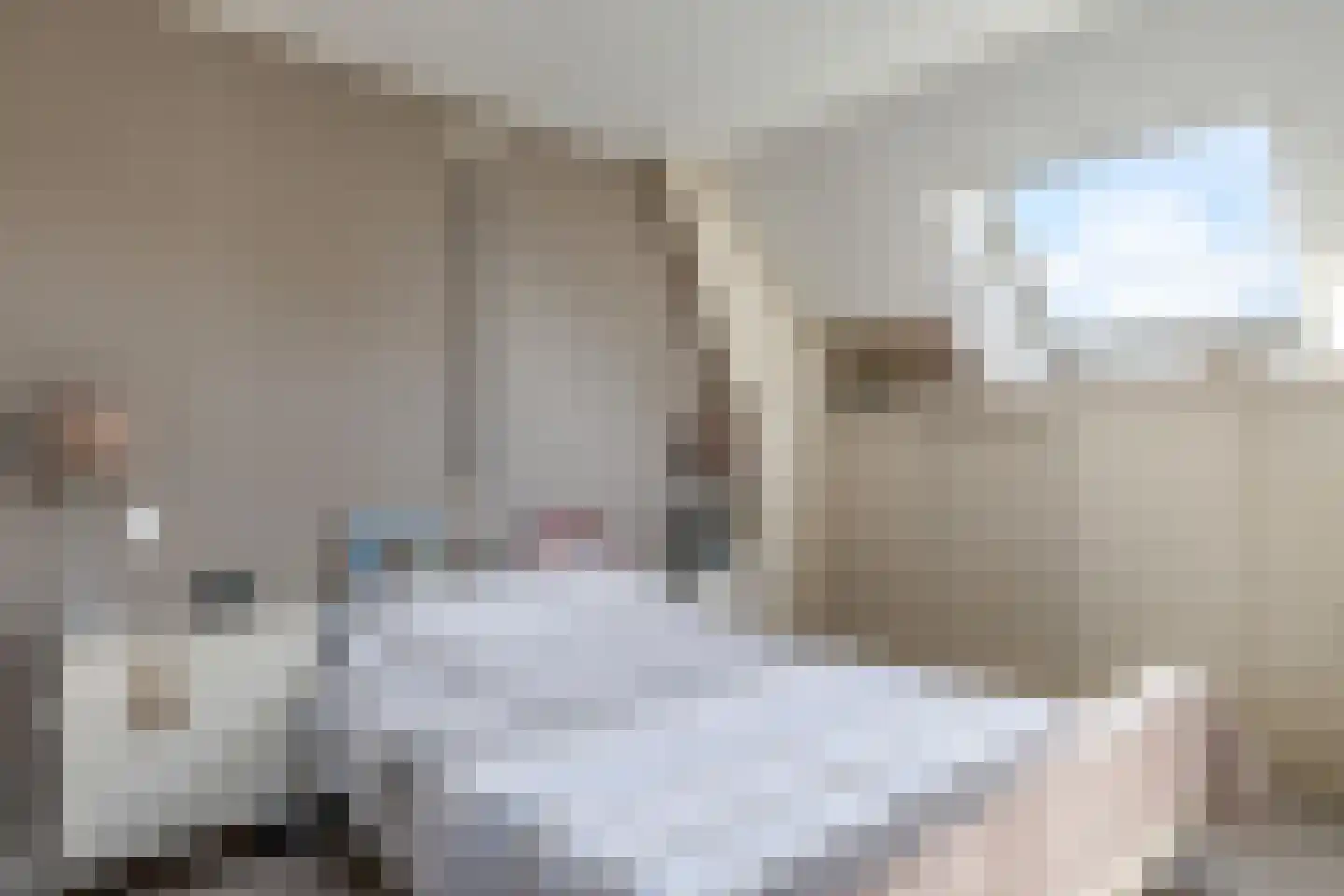 De Dreef 12 Dodewaard thumbnail 26