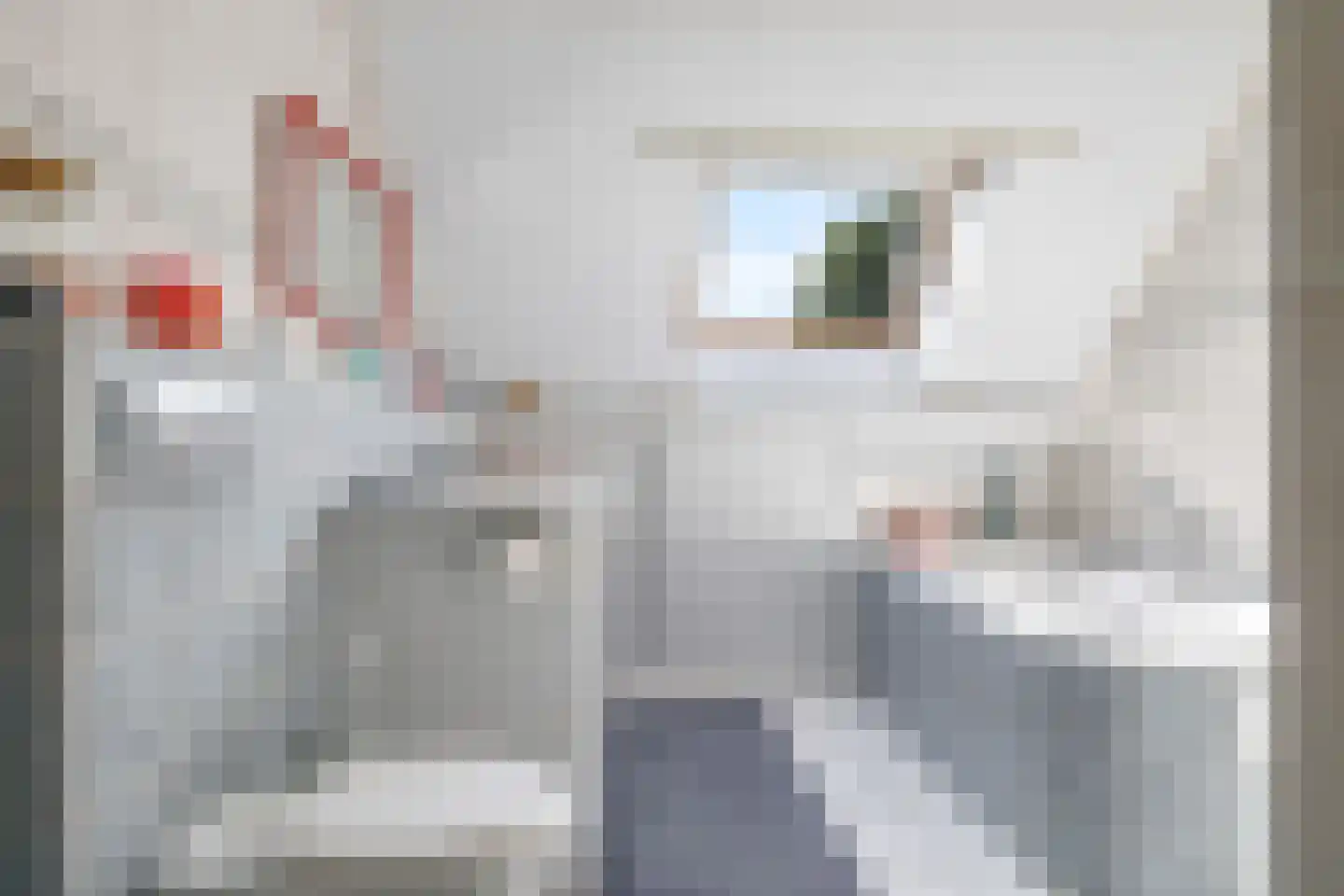 De Dreef 12 Dodewaard thumbnail 27