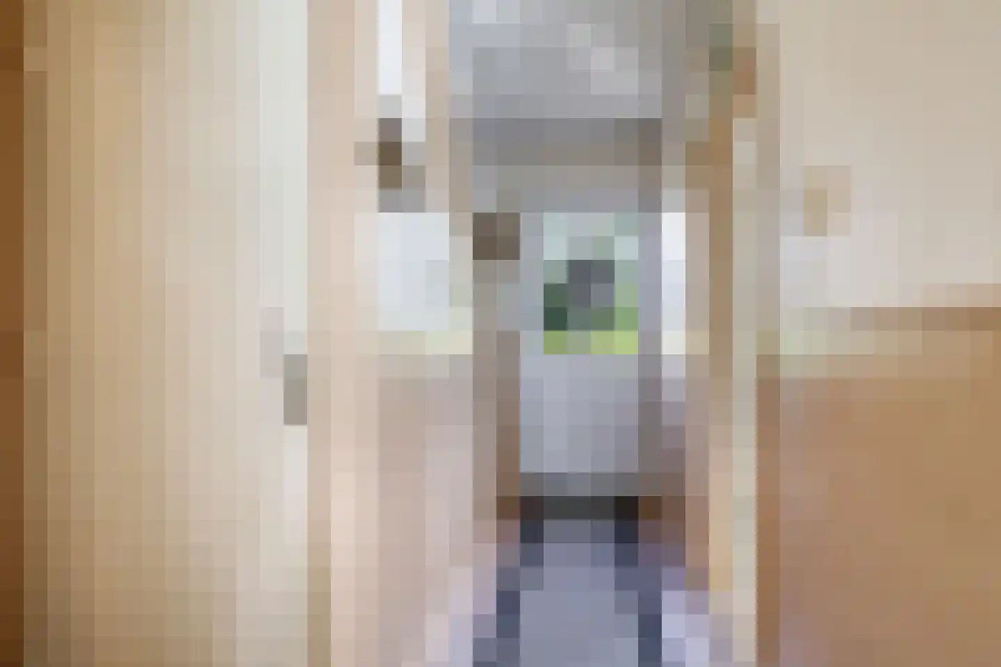 De Dreef 12 Dodewaard thumbnail 34