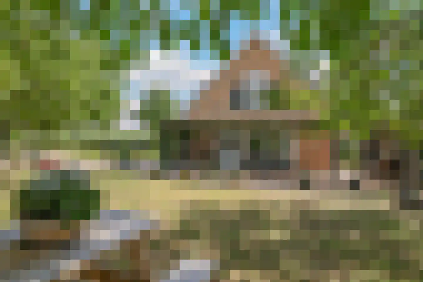 De Dreef 12 Dodewaard thumbnail 4