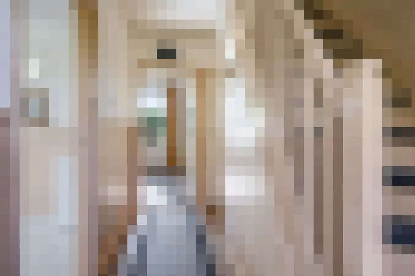 De Dreef 12 Dodewaard thumbnail 40
