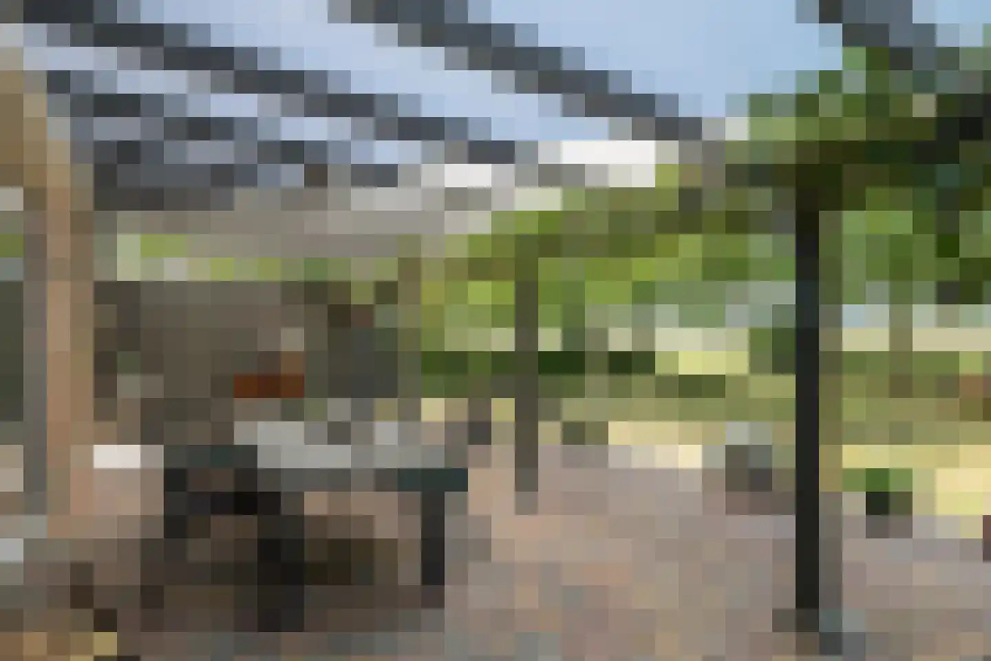 De Dreef 12 Dodewaard thumbnail 5