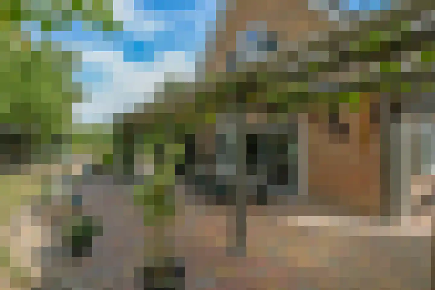 De Dreef 12 Dodewaard thumbnail 50