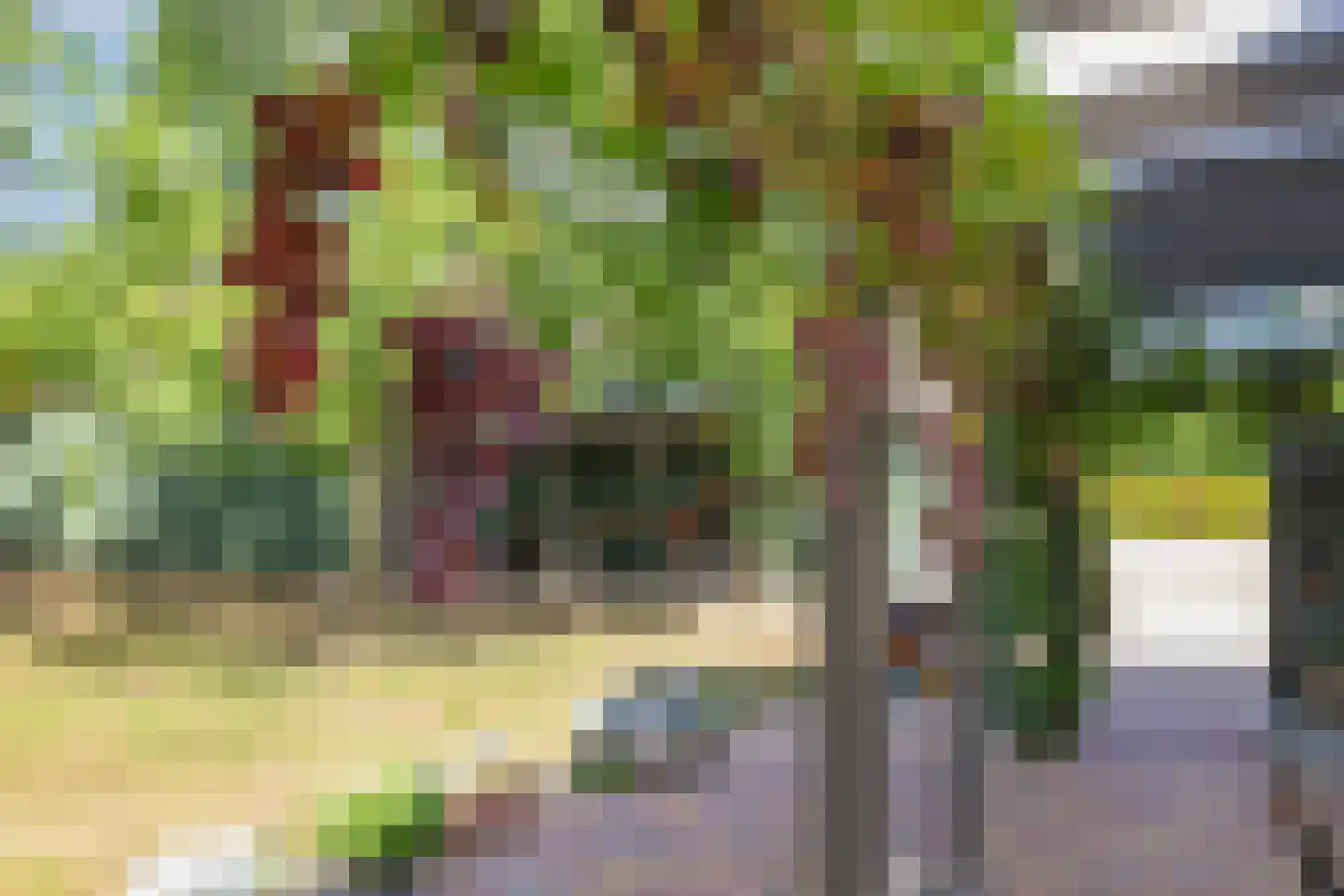 De Dreef 12 Dodewaard thumbnail 53