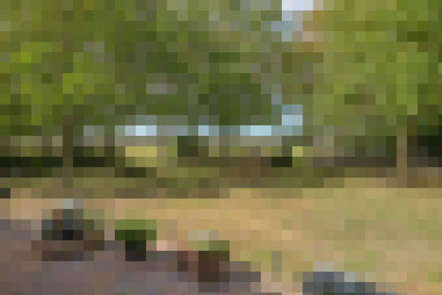 De Dreef 12 Dodewaard thumbnail 54