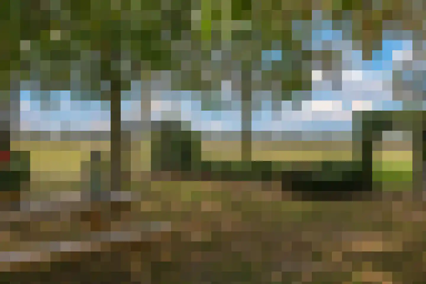 De Dreef 12 Dodewaard thumbnail 6