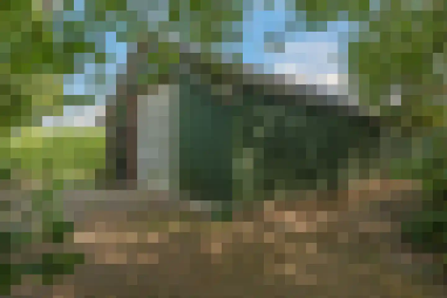 De Dreef 12 Dodewaard thumbnail 60