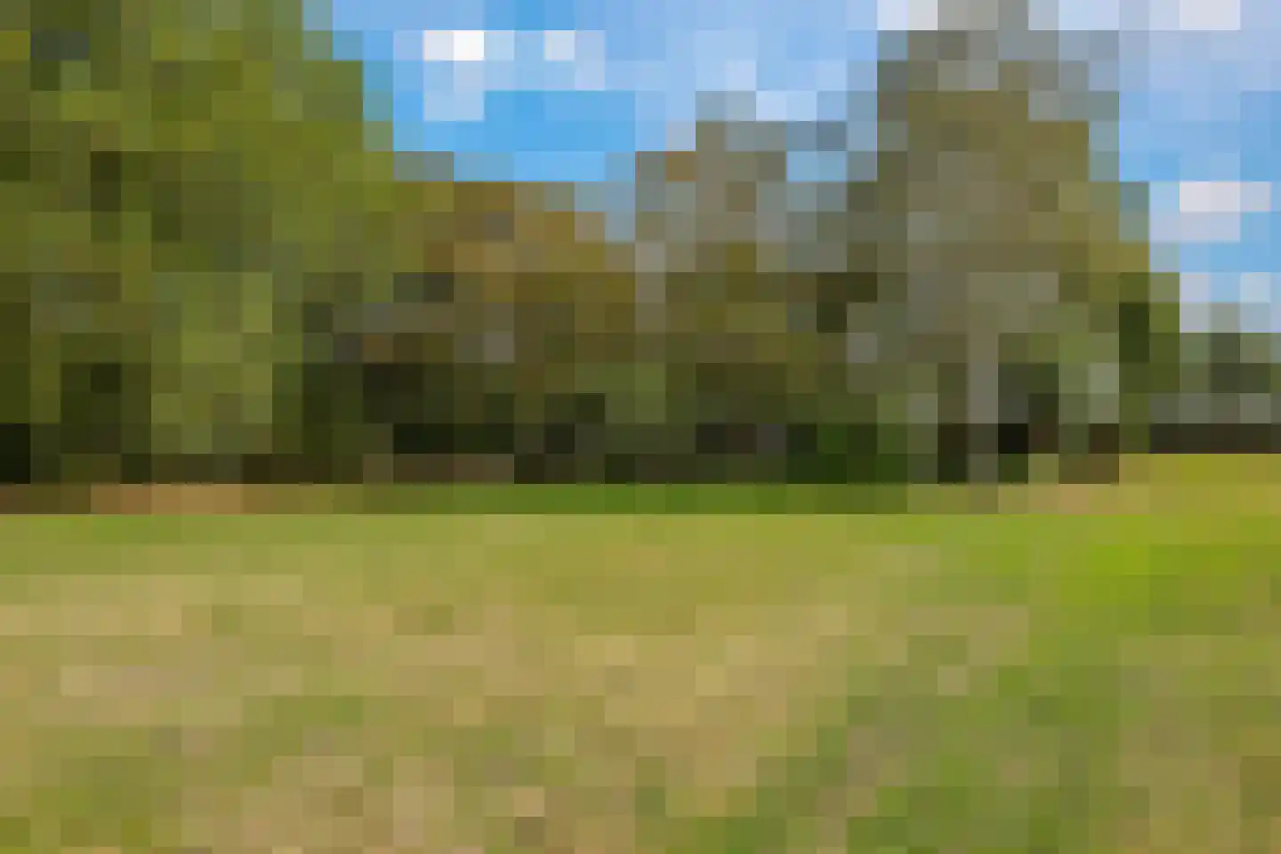 De Dreef 12 Dodewaard thumbnail 61