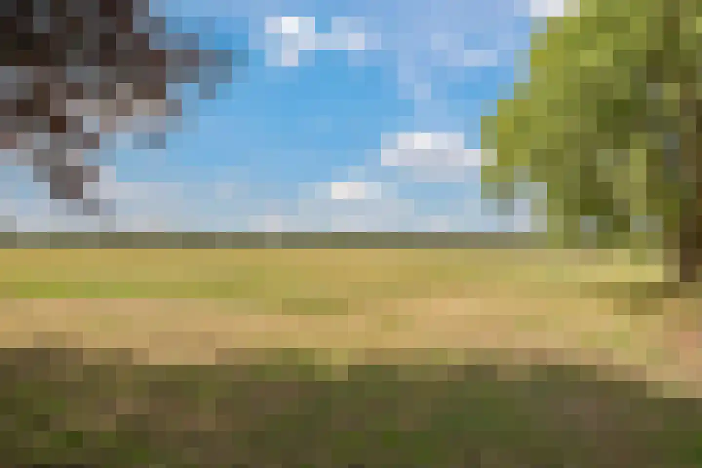 De Dreef 12 Dodewaard thumbnail 62