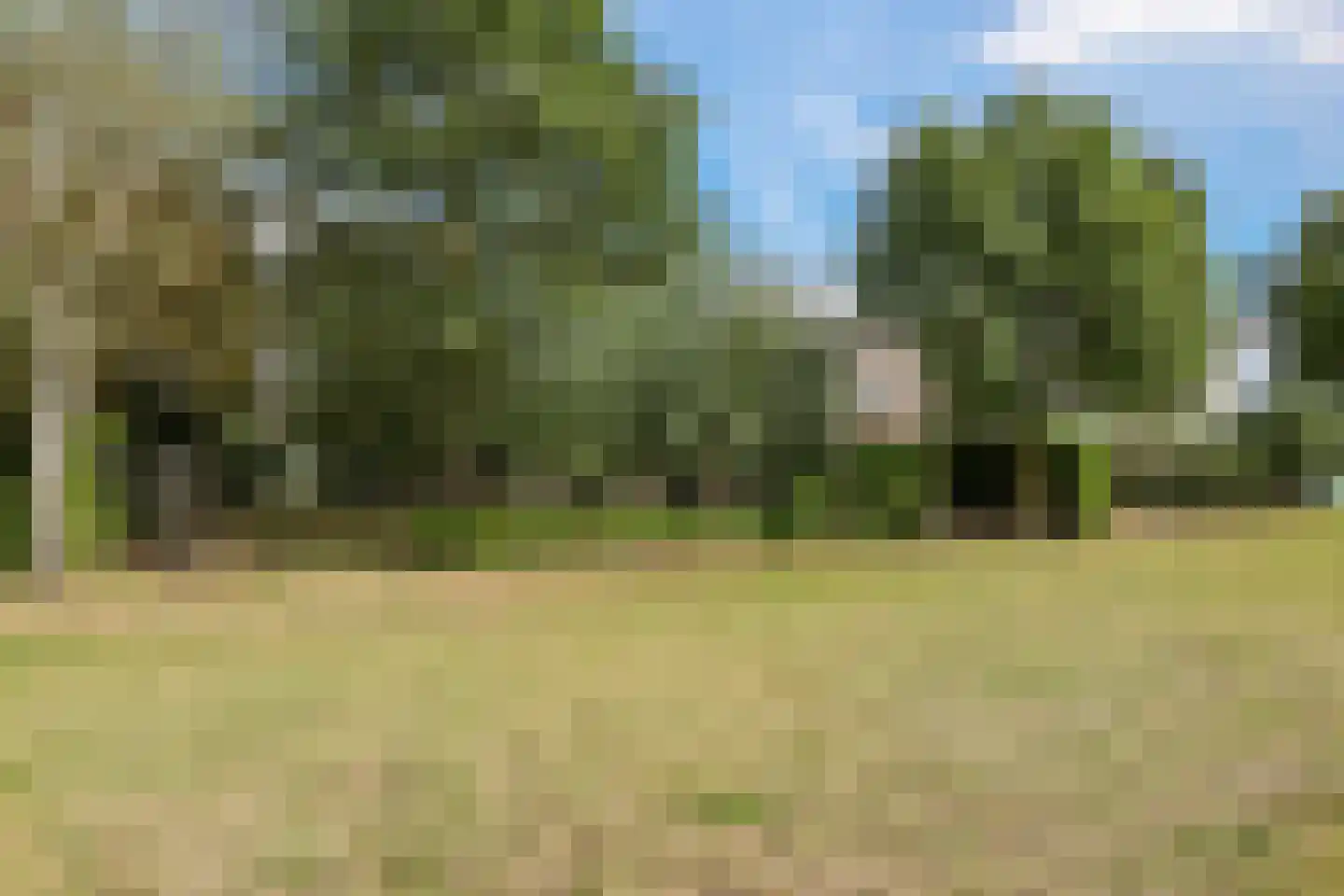 De Dreef 12 Dodewaard thumbnail 63