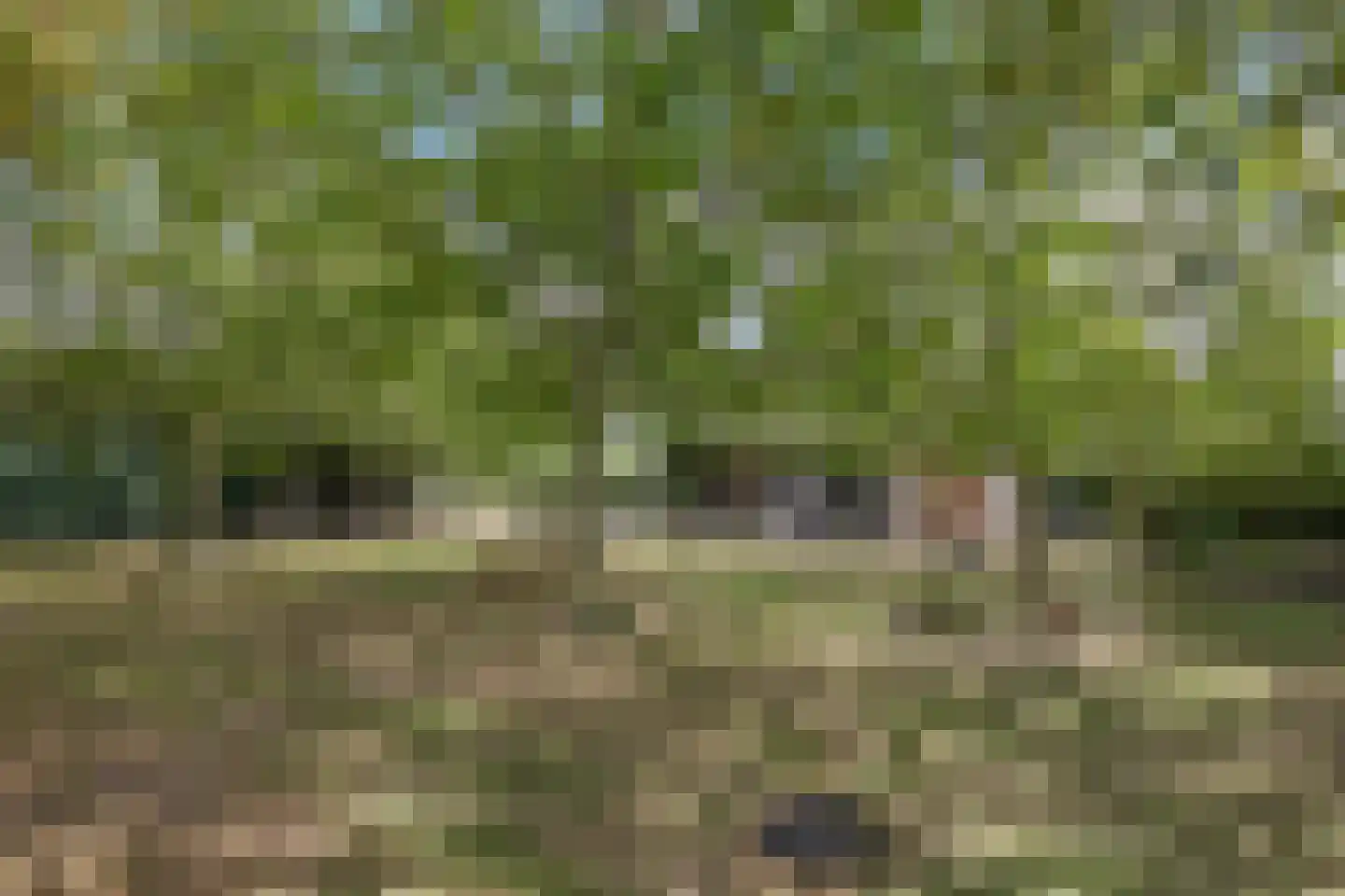 De Dreef 12 Dodewaard thumbnail 64