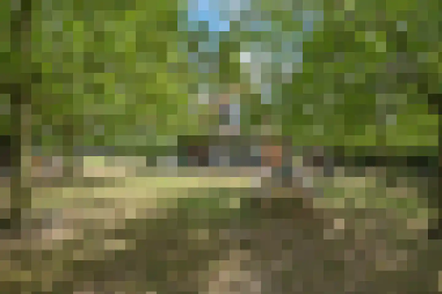 De Dreef 12 Dodewaard thumbnail 65