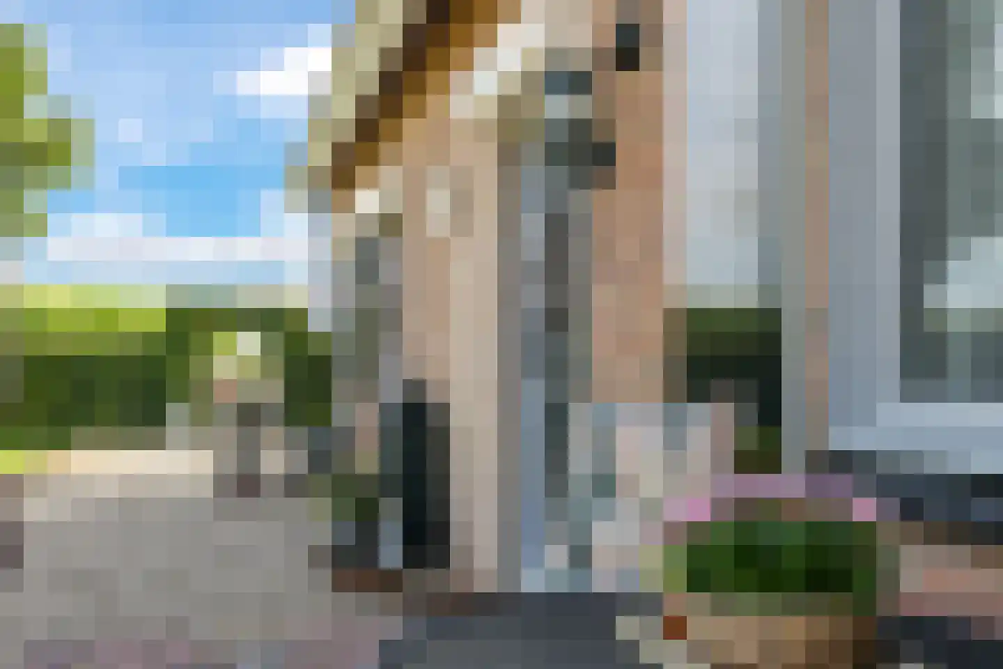 De Dreef 12 Dodewaard thumbnail 69