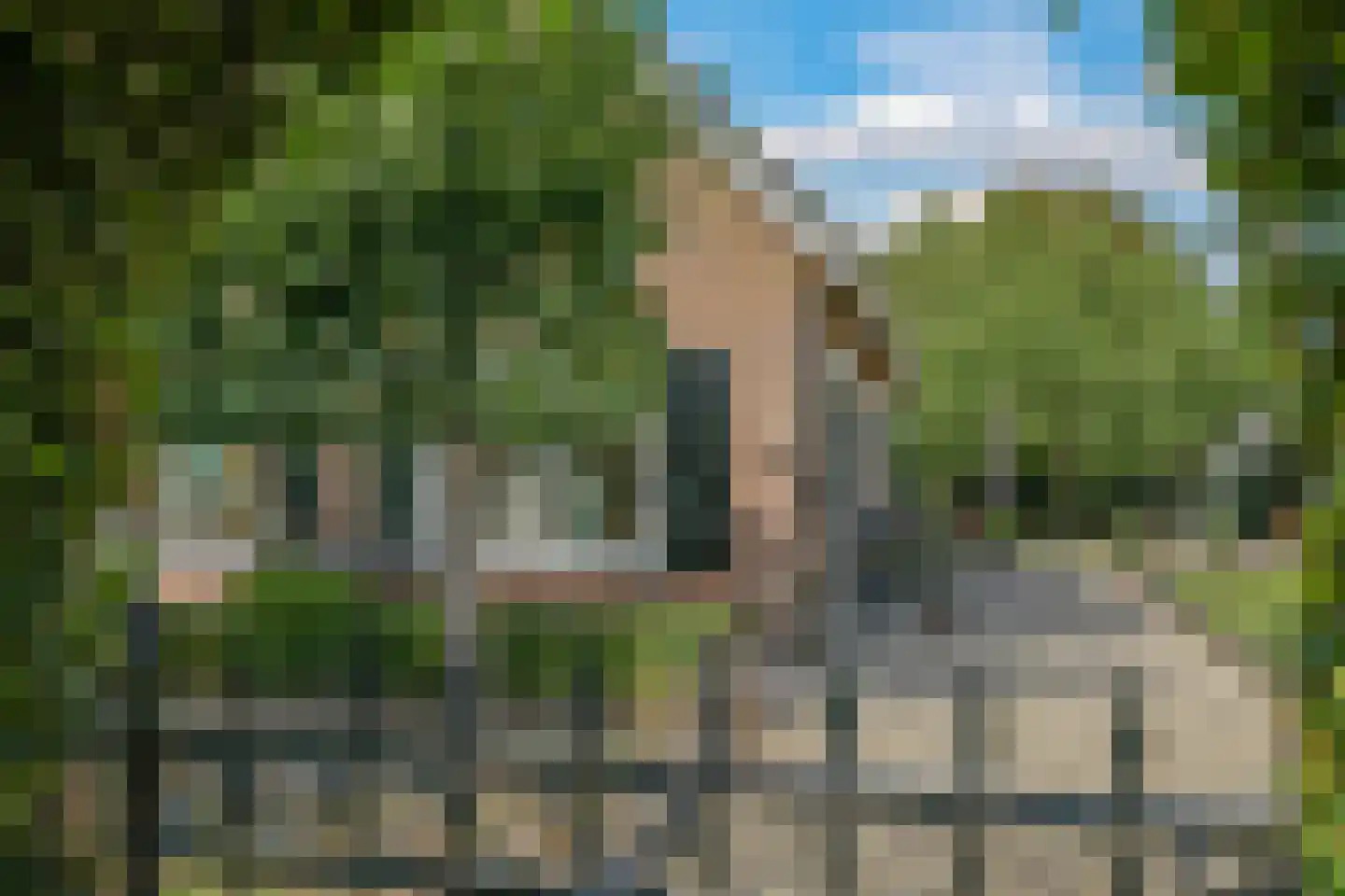 De Dreef 12 Dodewaard thumbnail 71