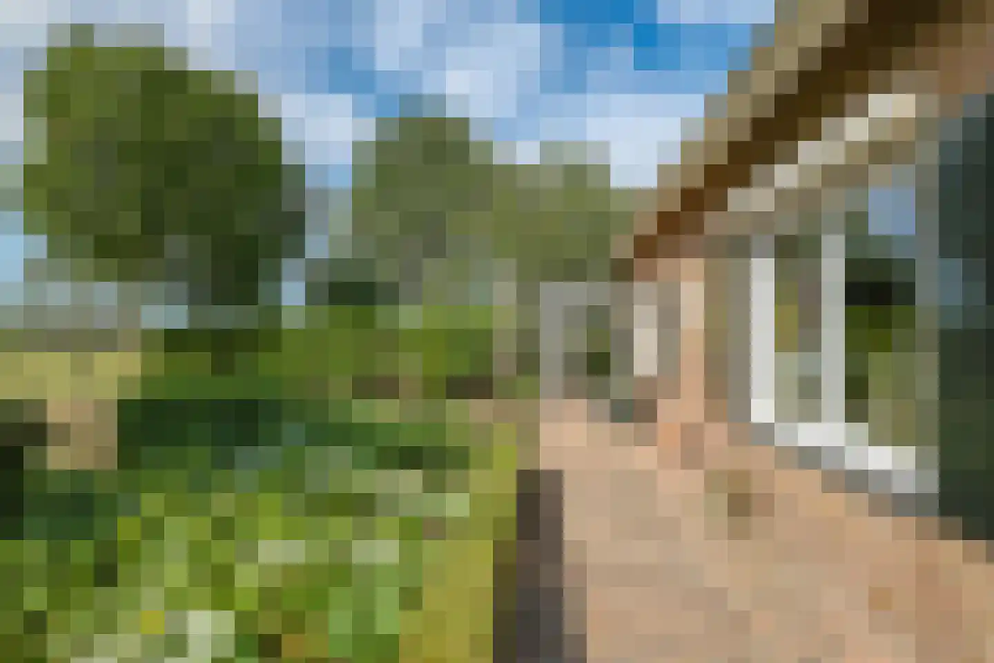 De Dreef 12 Dodewaard thumbnail 76