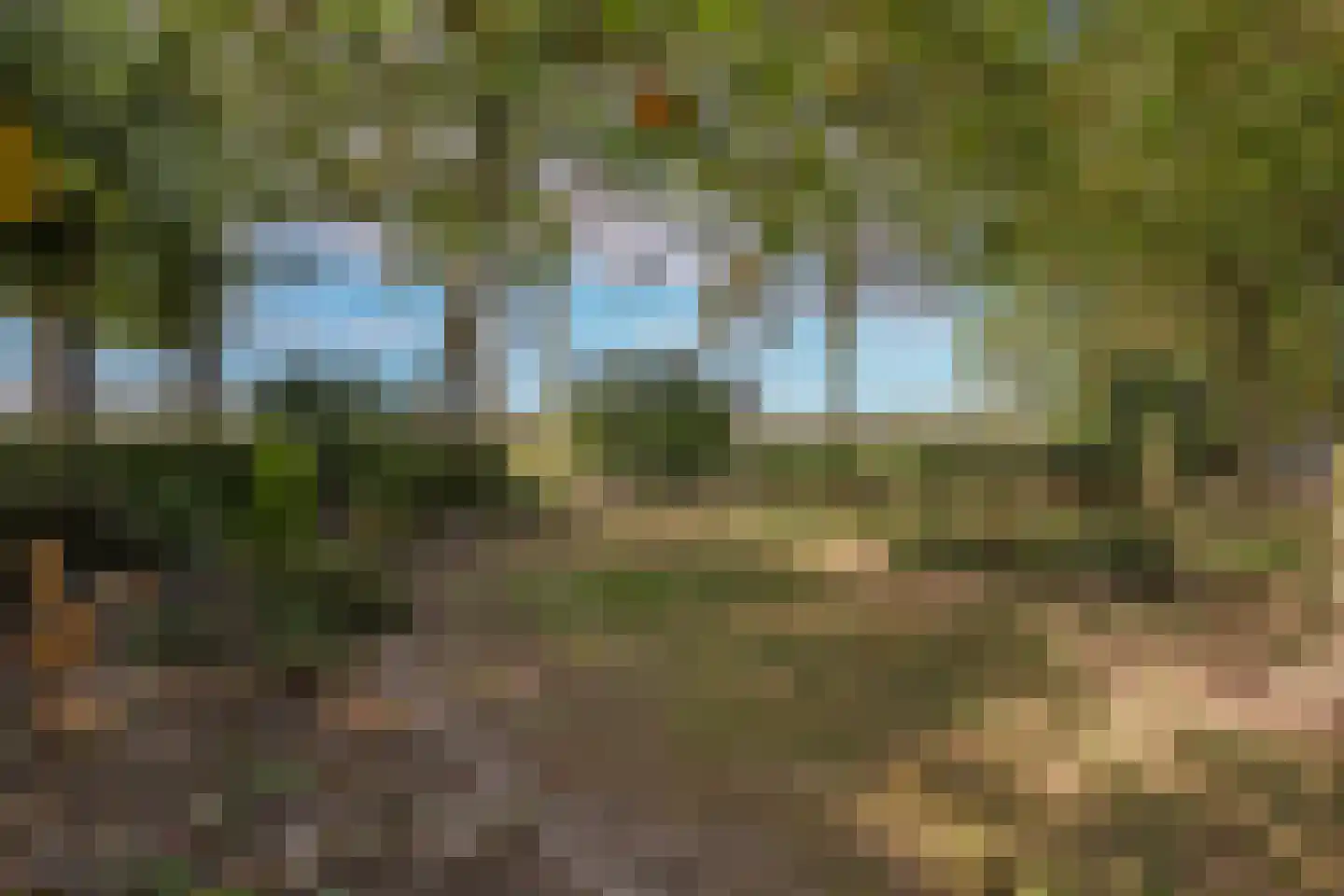 De Dreef 12 Dodewaard thumbnail 78
