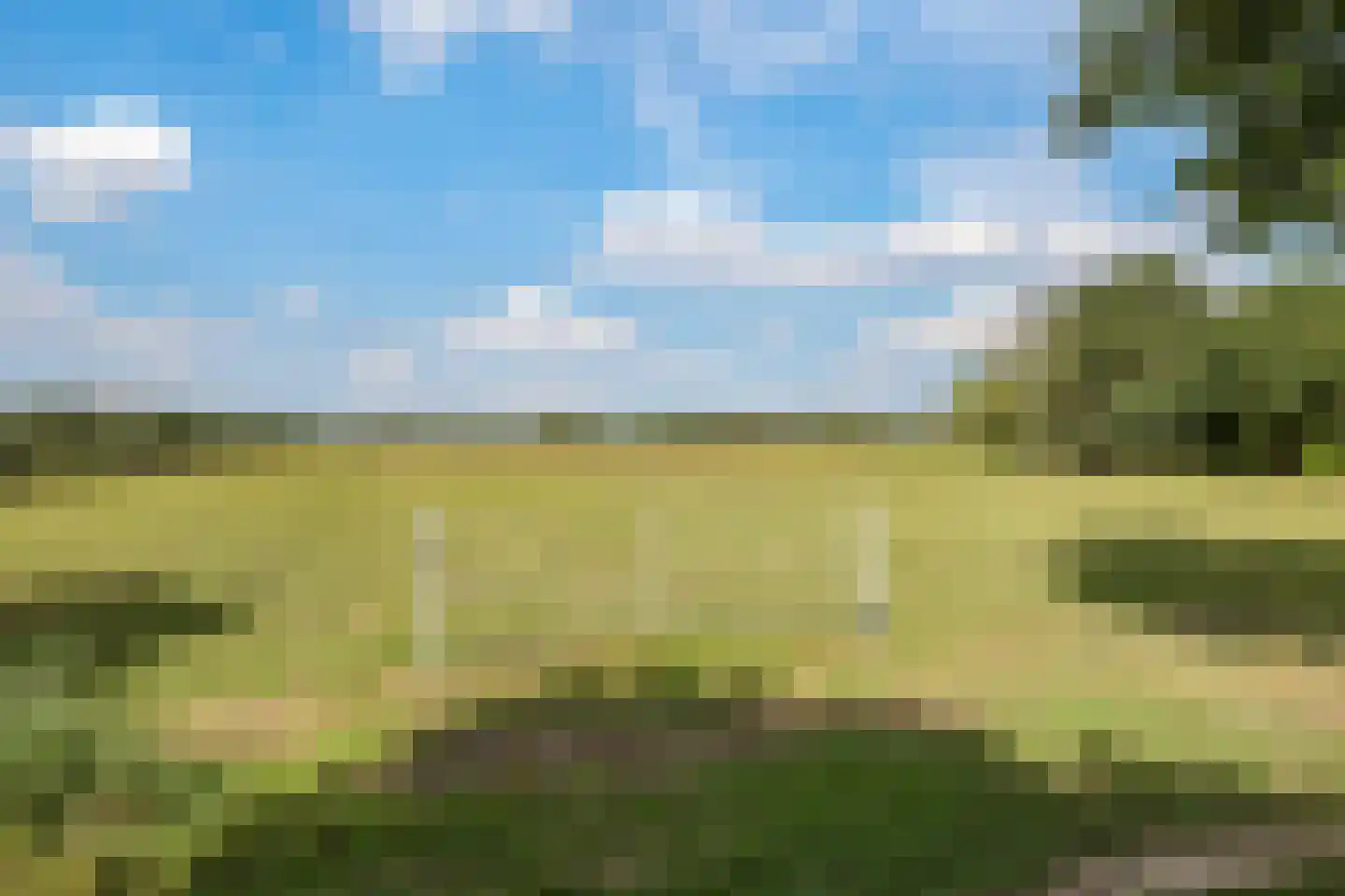 De Dreef 12 Dodewaard thumbnail 79