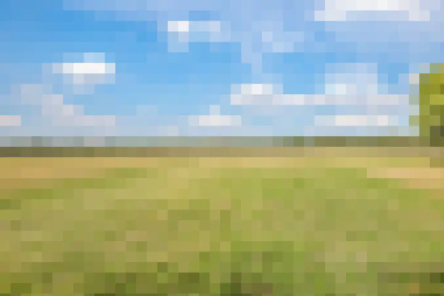 De Dreef 12 Dodewaard thumbnail 80