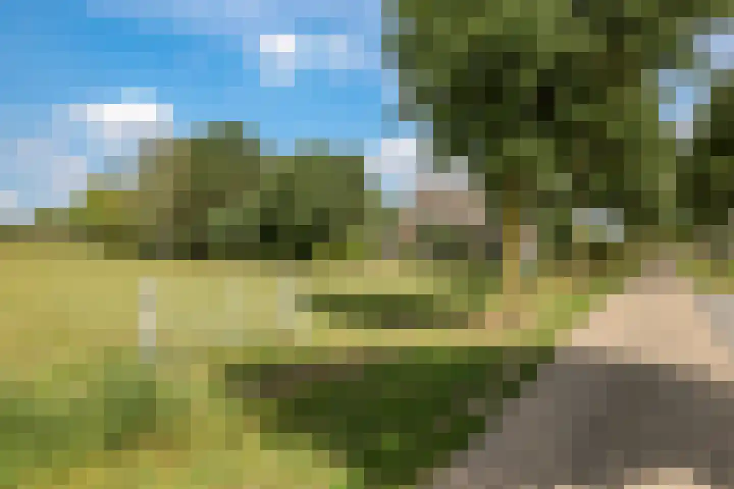 De Dreef 12 Dodewaard thumbnail 81