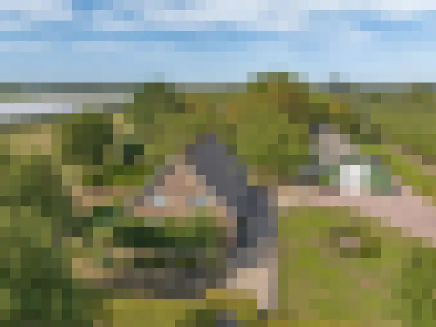 De Dreef 12 Dodewaard thumbnail 83