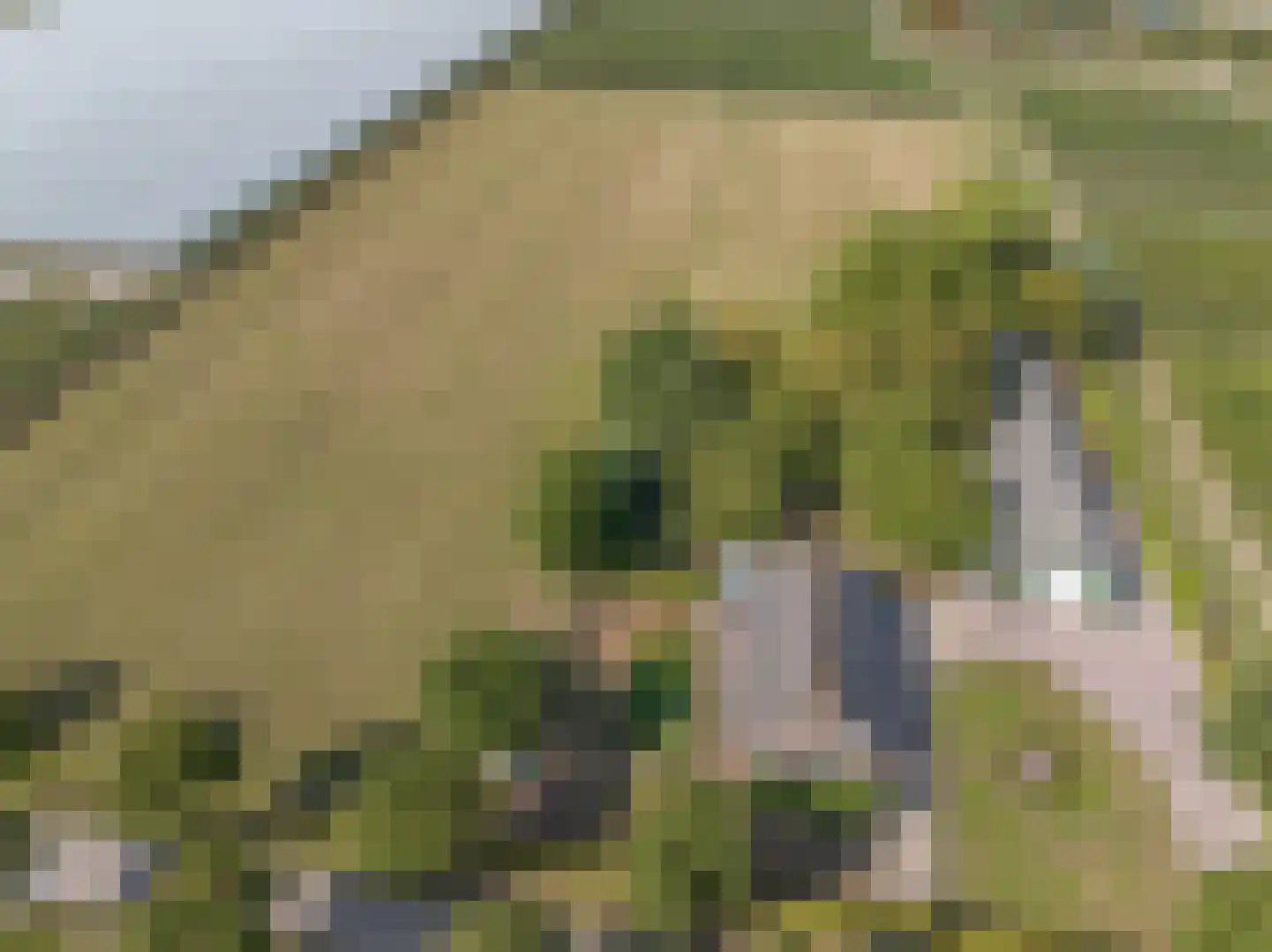 De Dreef 12 Dodewaard thumbnail 84