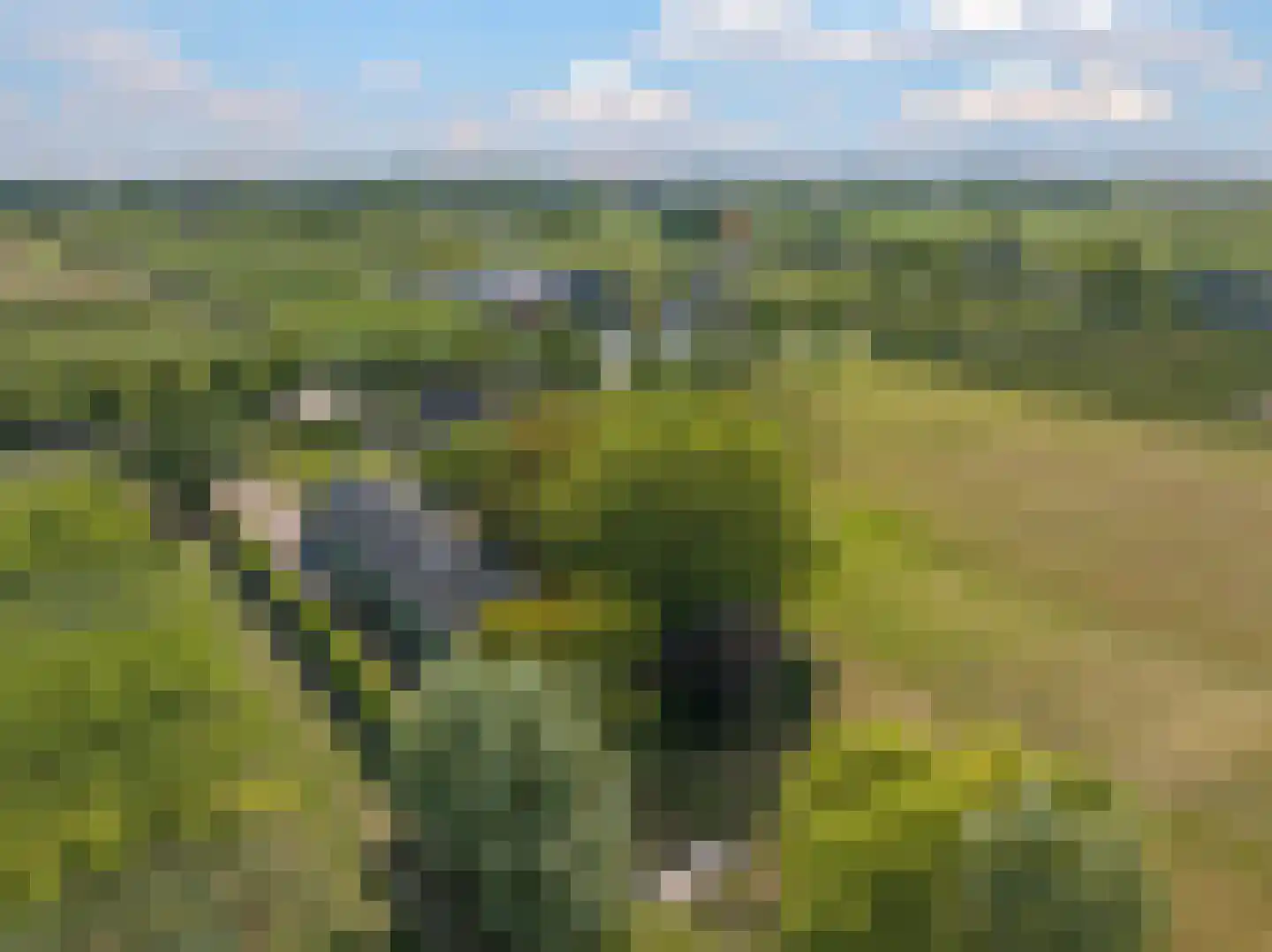 De Dreef 12 Dodewaard thumbnail 85
