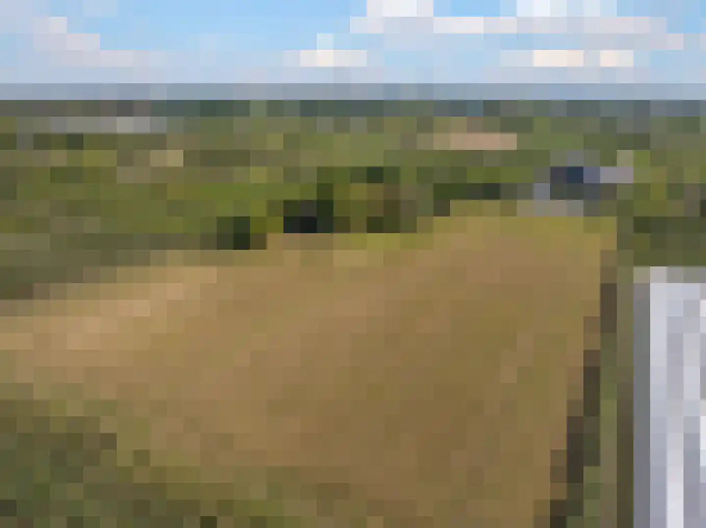 De Dreef 12 Dodewaard thumbnail 86