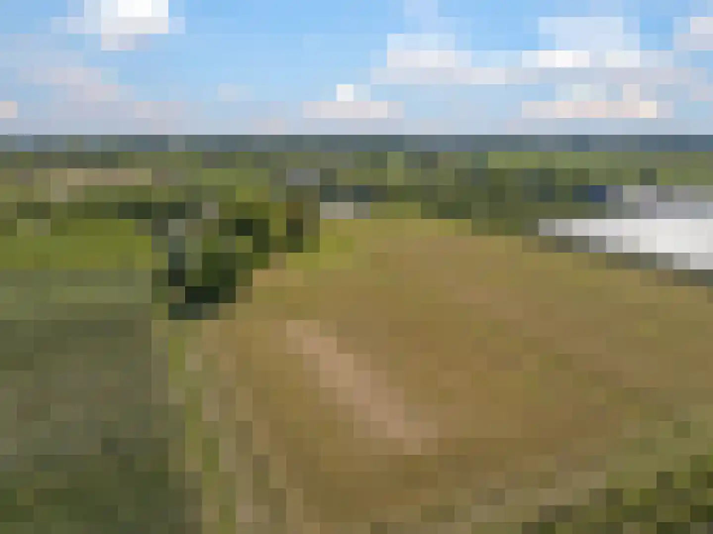 De Dreef 12 Dodewaard thumbnail 87