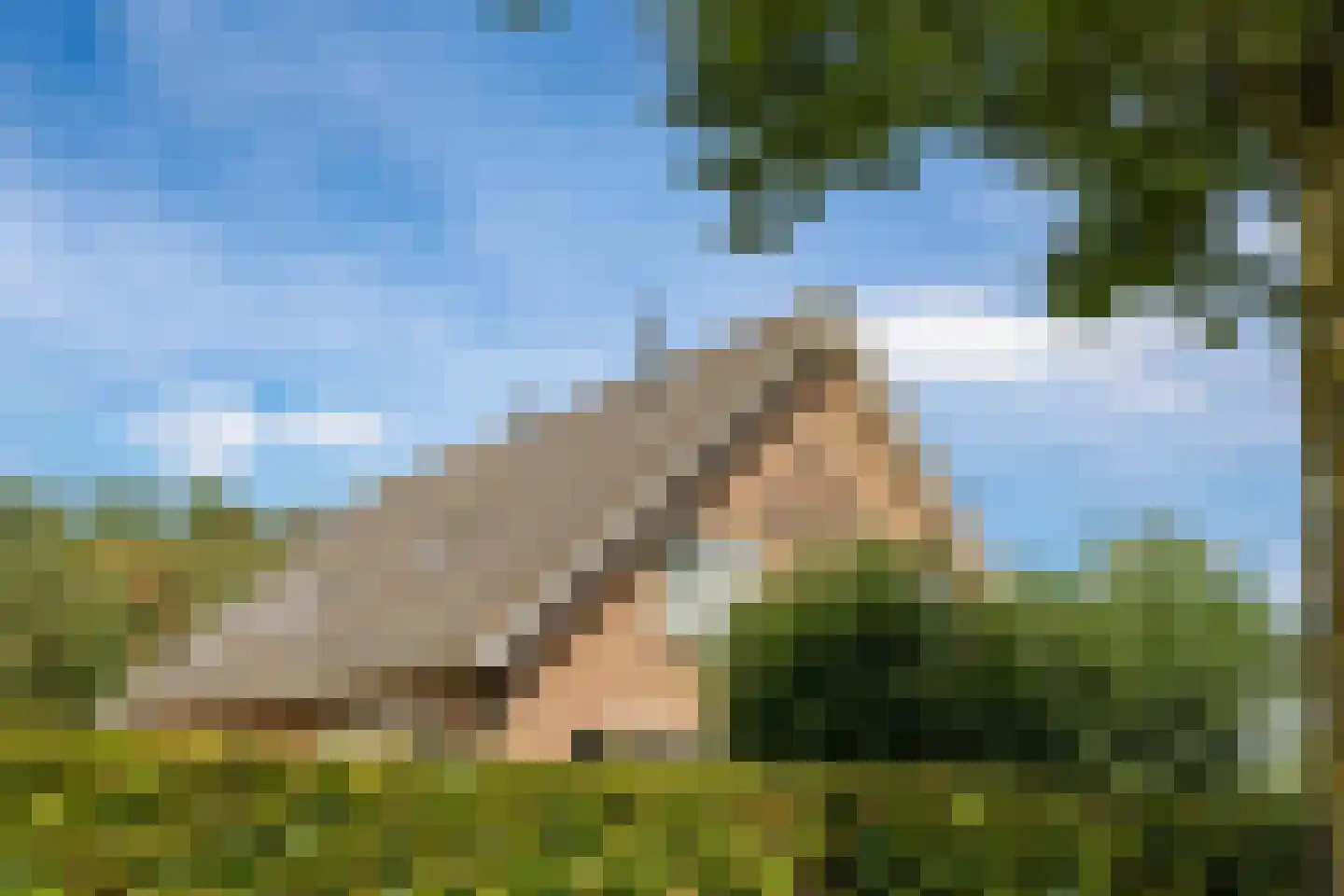 De Dreef 12 Dodewaard thumbnail 88