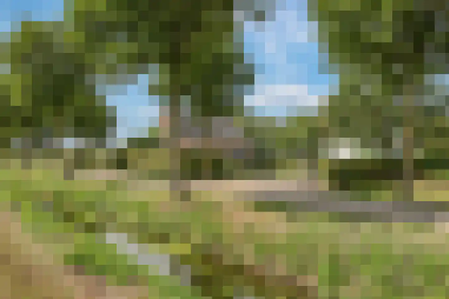 De Dreef 12 Dodewaard thumbnail 89