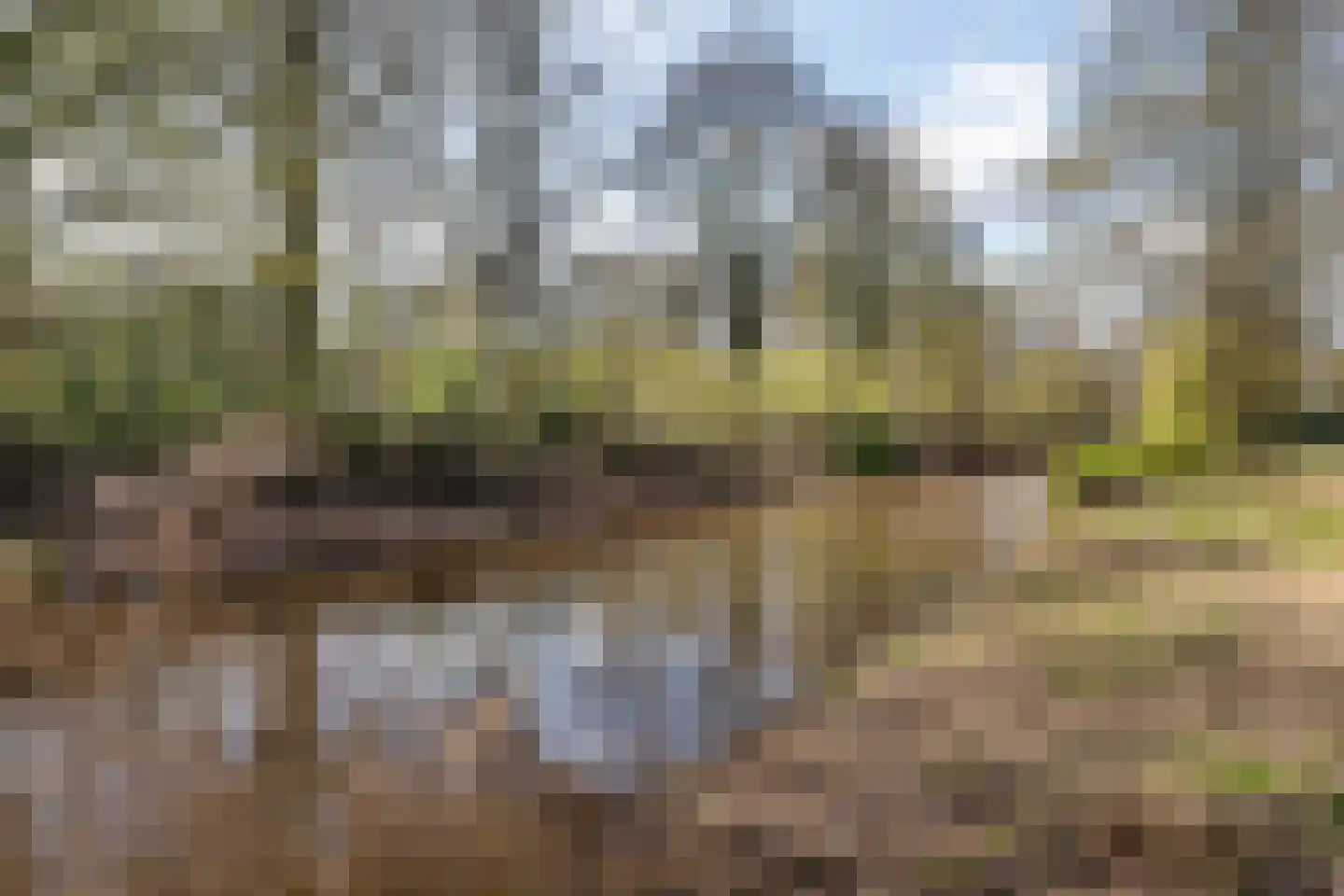 De Dreef 12 Stadskanaal thumbnail 42